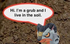 Rudy (@rudywolfff) on Twitter photo 