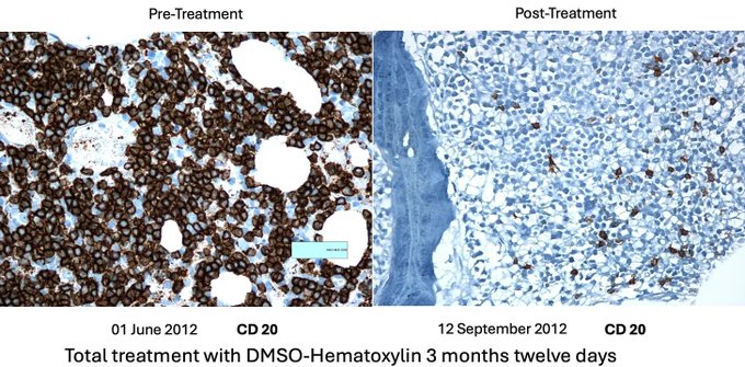 Image in tweet by The Vigilant Fox 🦊