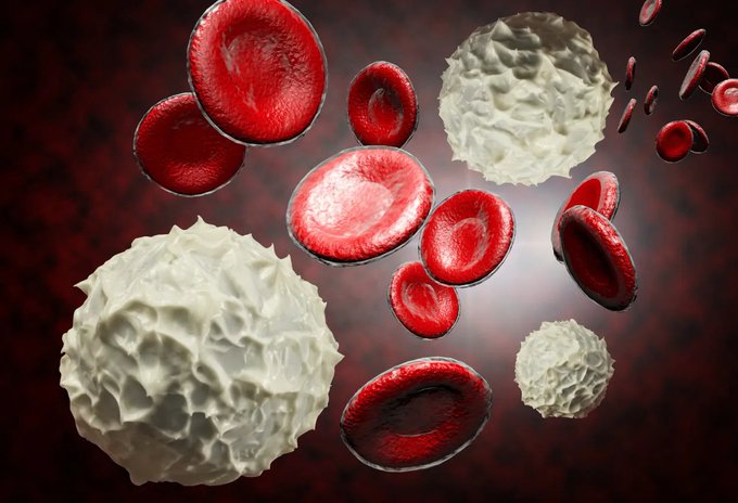 Image in tweet by The Vigilant Fox 🦊