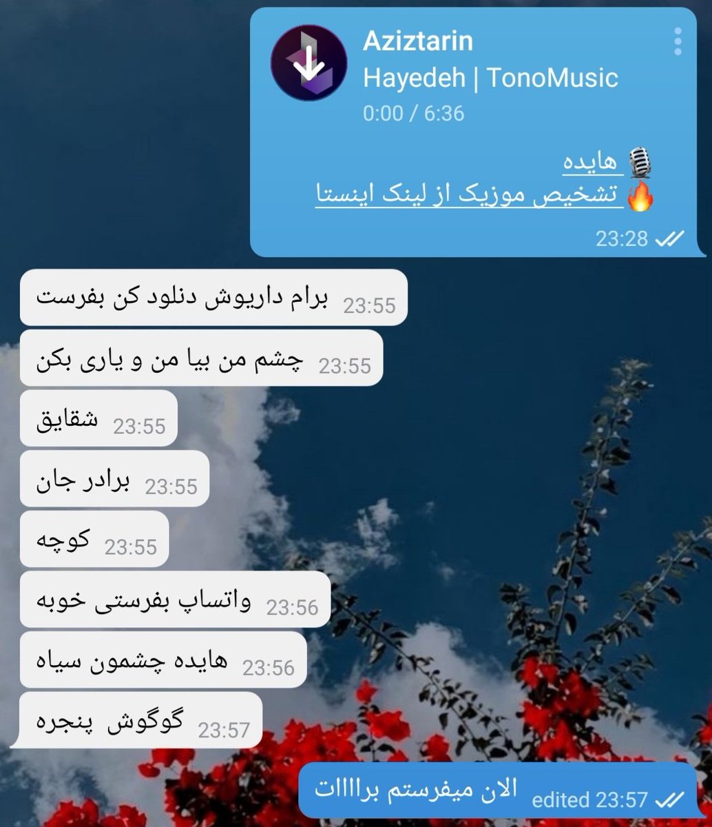 Fateme Sohanaki tweet media