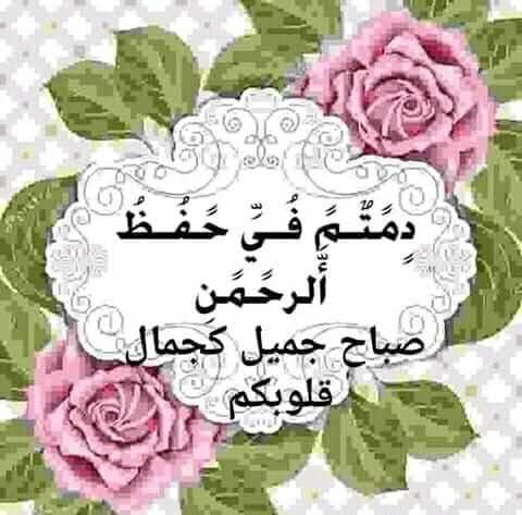 صباح الأمل و الثقة بالنفس ❤😍
اللهم أنصر غزة