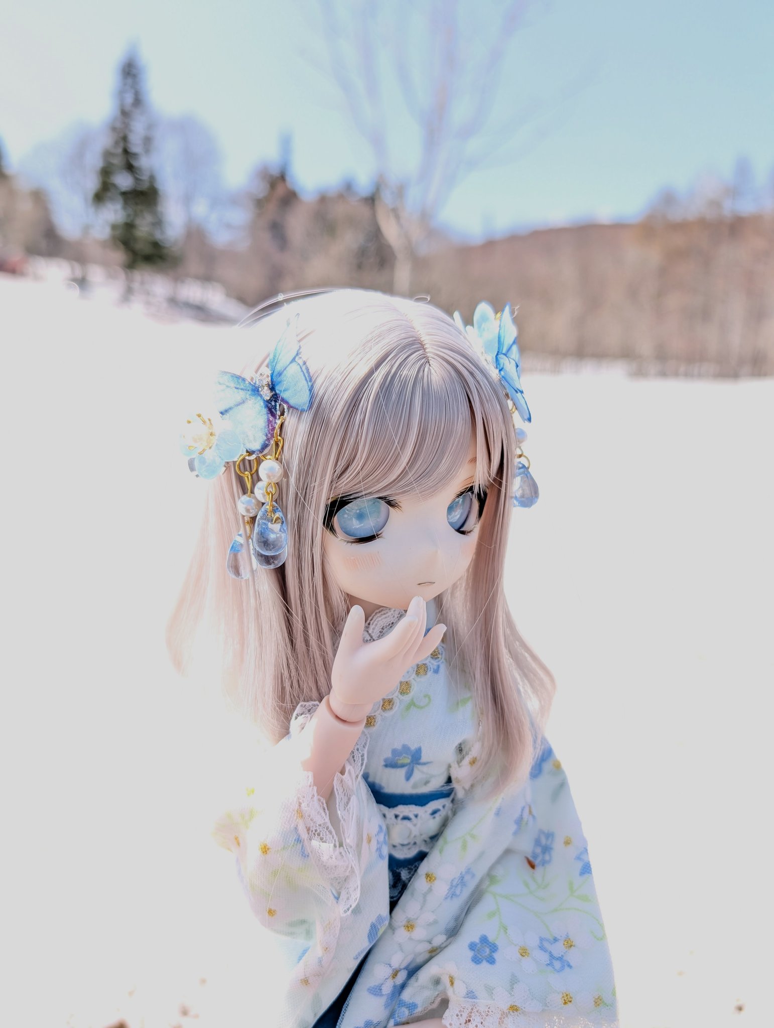 Petworks Store Global | ”CCS 25SS momoko” to be released in