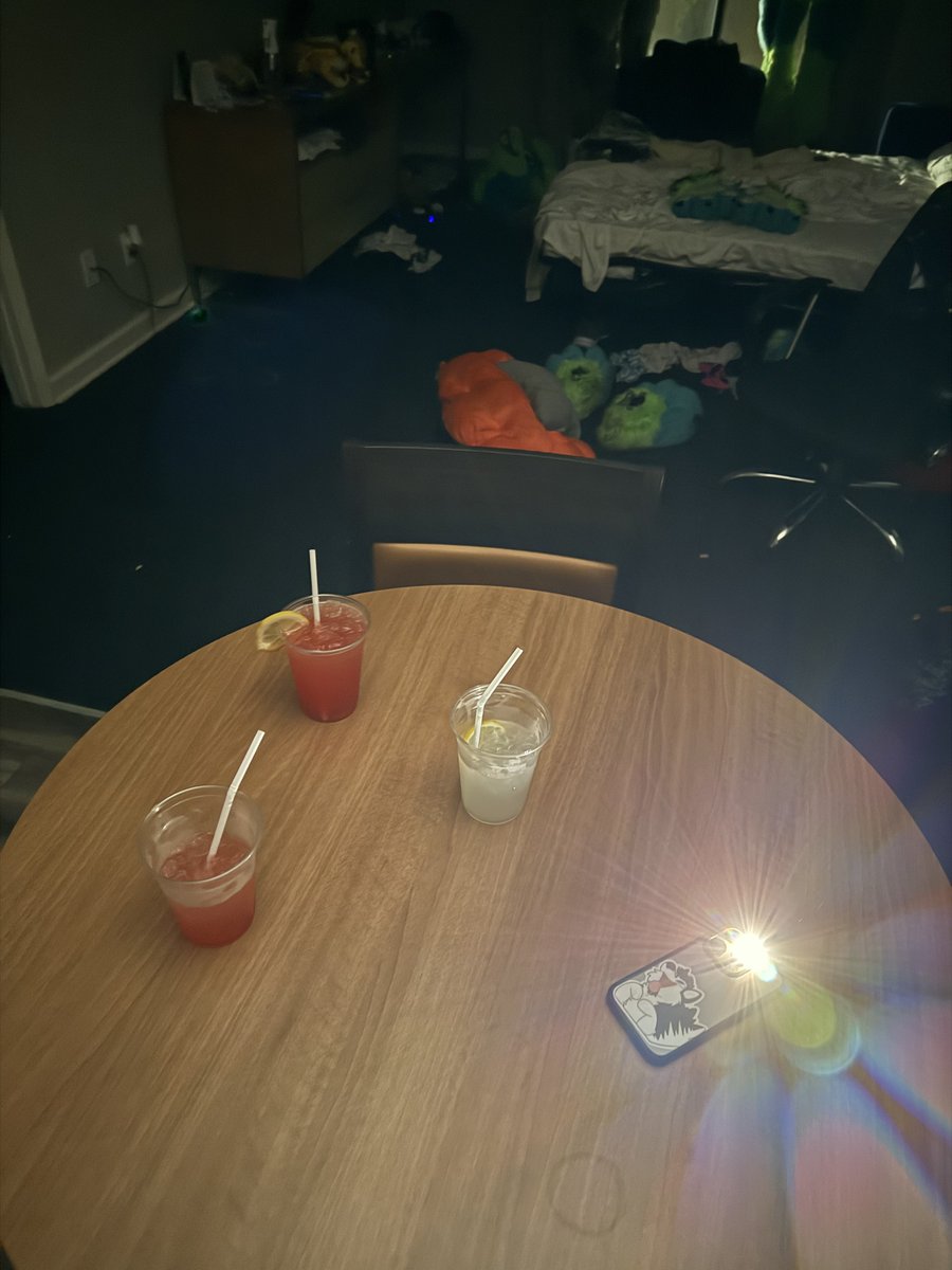 a drunk furry hit the transformer with their car while trying to film a TikTok and now half the resort is out of power. LVFC never ceases to amaze me