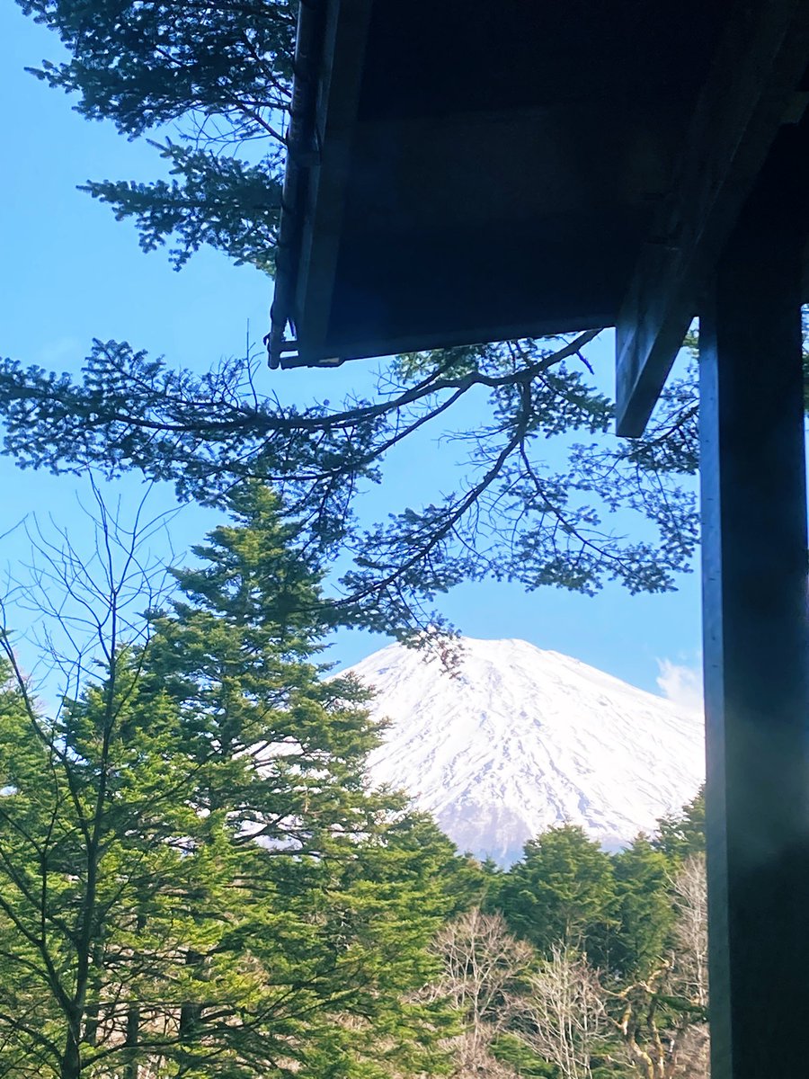 PICAomotefuji's tweet photo. 朝から青空が広がり日差しが眩しく風が心地いいです
現在の気温20℃
緑豊かなキャンプ場で自然に囲まれな��ら
のんびり焚き火をしながら過ごしませんか？

#PICA表富士#森林#自然#富士山#桜 https://t.co/grcKRA6gum