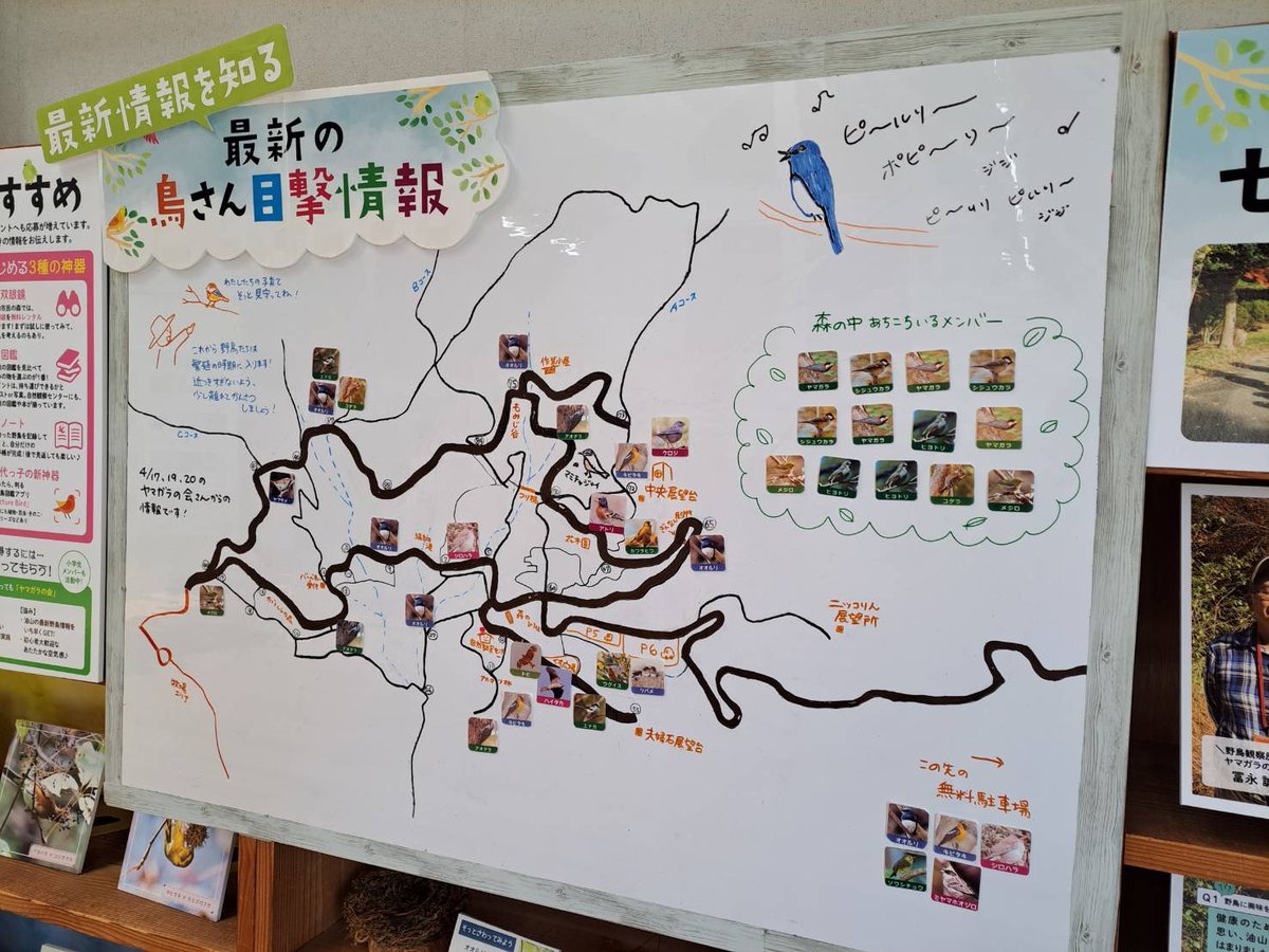 🐤野鳥情報更新しました🐤

森では鳥たちの子育てがスタートしています。繁殖期には野鳥に近づき過ぎたり、驚かせたりしないように、やさしく見守りましょう😊

＃油山
＃野鳥