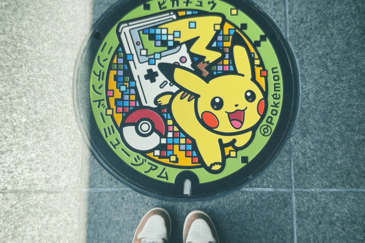 ときめき🌿🕊️ tweet media