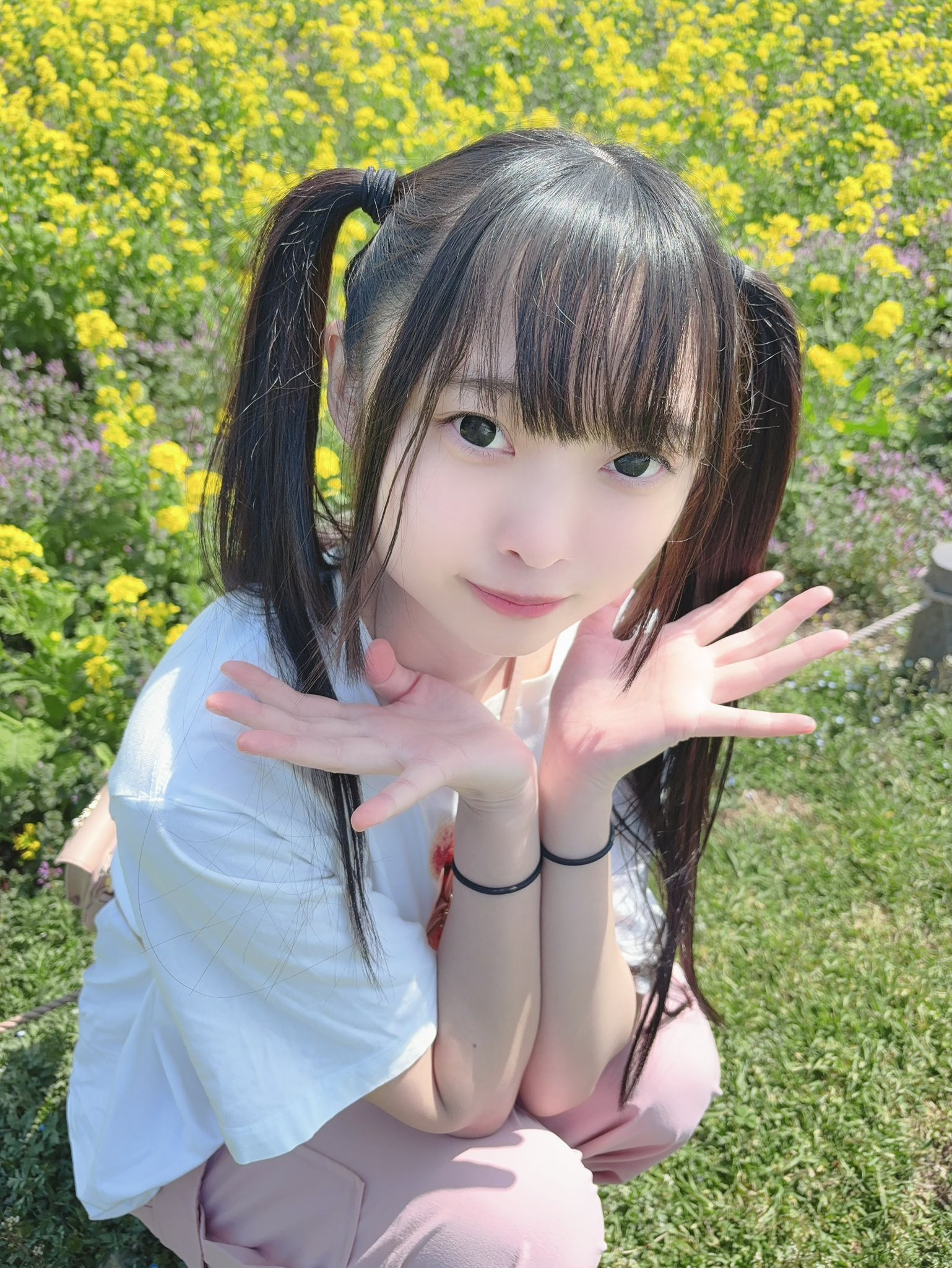 冬ギフト  桜瀬  X: on ここあ🐹🎀 鉢花
