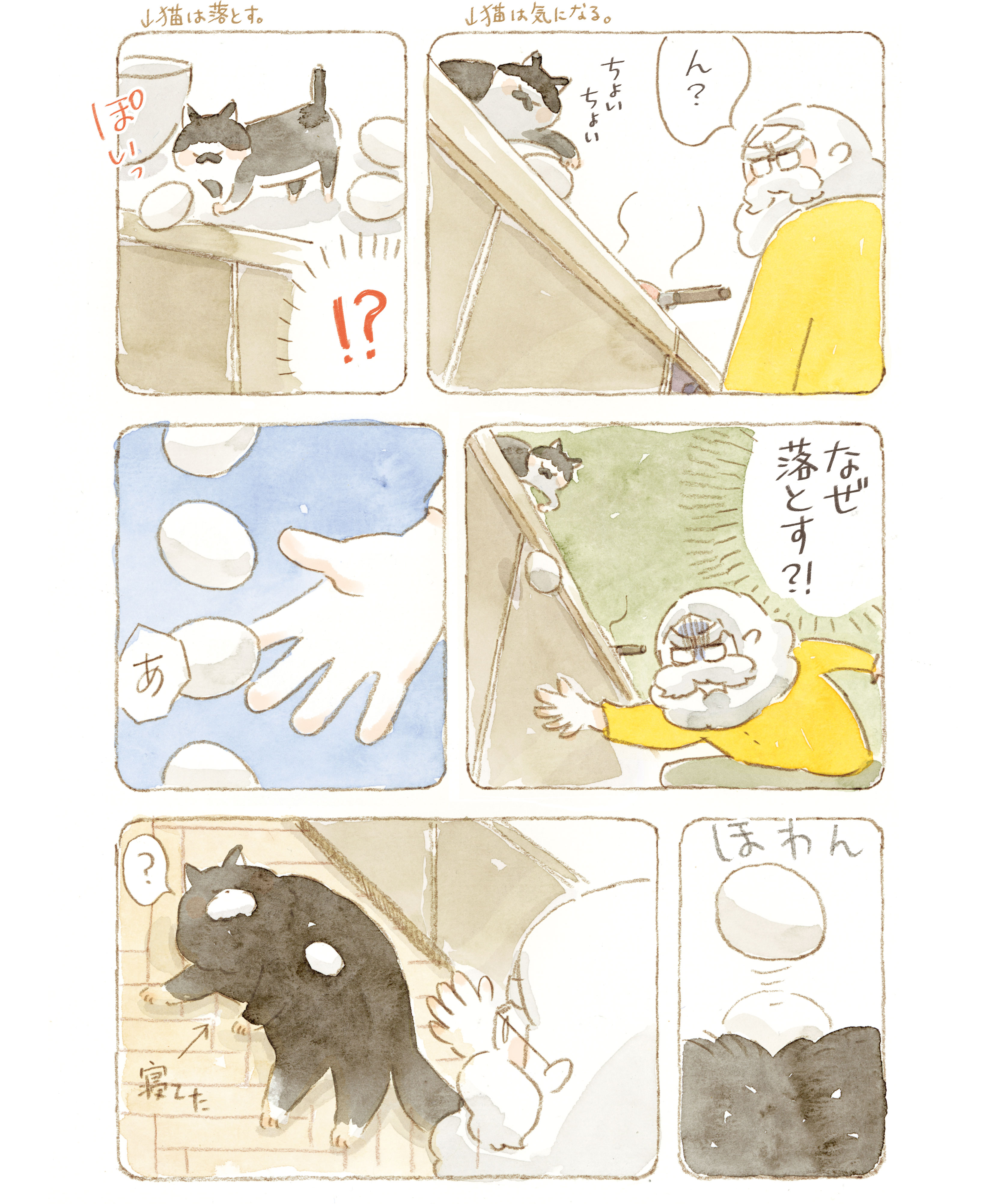 Amazon.co.jp: 猫マンガ「ねこまき1」 eBook : ミューズワーク