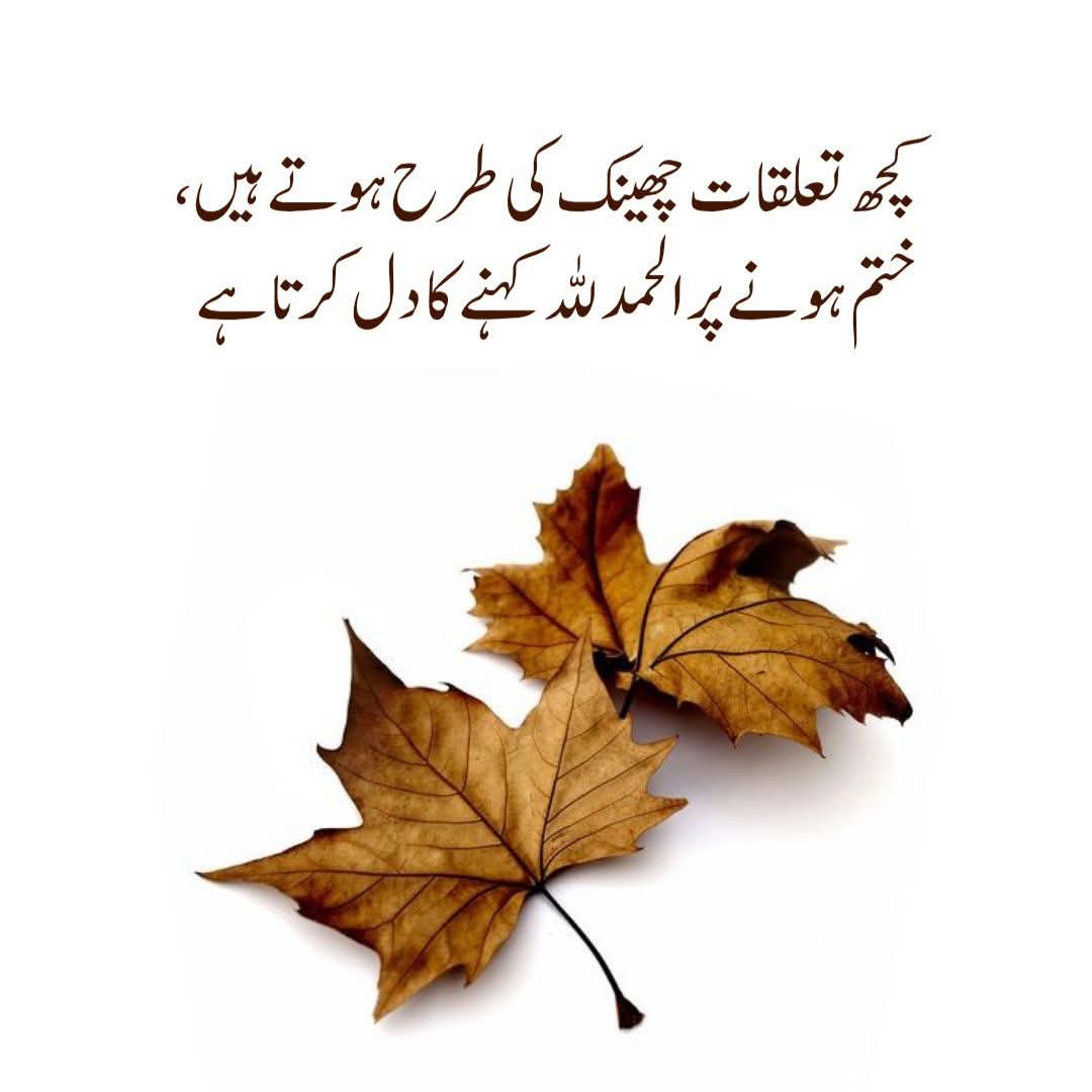 कुछ तालुकात छींक की तरह होते हैं खत्म होने पर अल्हम्दुलिल्लाह कहने का दिल करता है