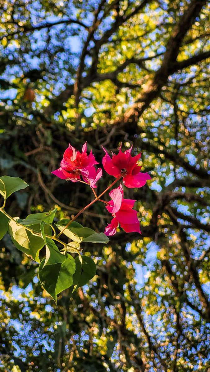 Good morning
Nice vibes