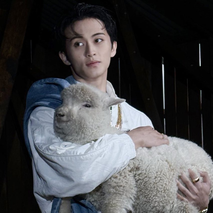 it looks like the lamb is smiling 😭😭