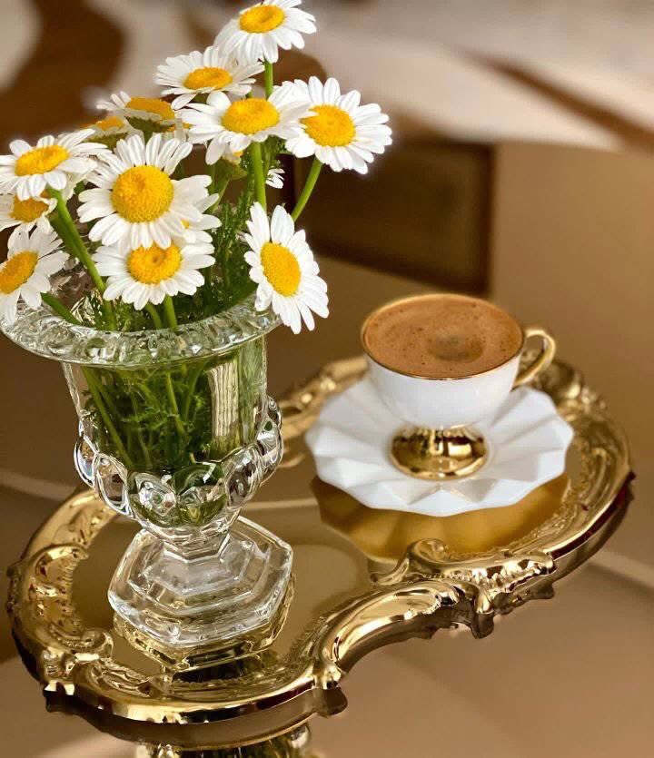 .

.

.

                لا تقبل وداً بارداً 
            ولا تسأل وصلاً متكلفا 
       ولا تنتظر مجيء من لا يجيء 
        تقدم بعقلك وتراجع بقلبك . .!!✍🏻

       #صباح_الخير_والسعاده ☕️♥️🕊