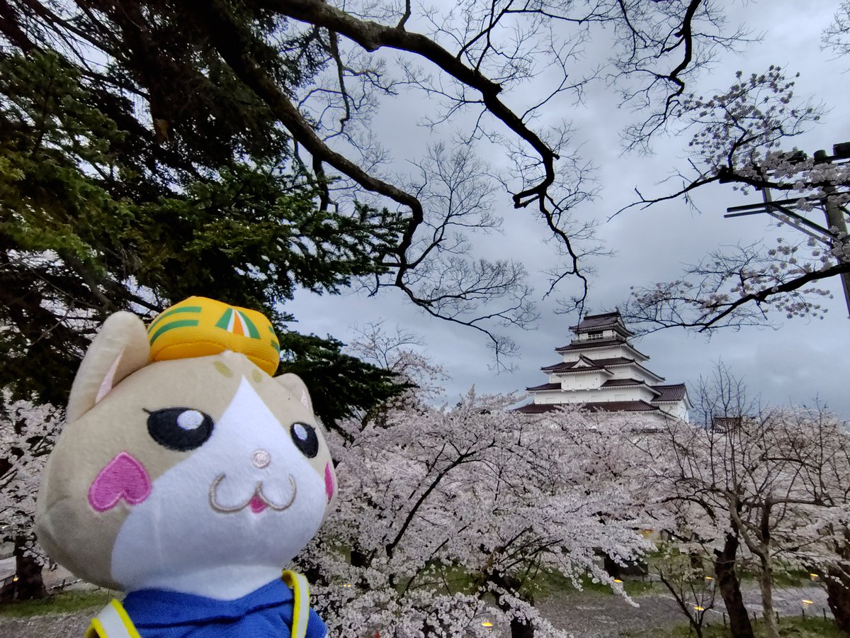 4ニャンズママ(＊プロフ必読＊)ページ 猫ママ🐾Cat mom (@nekomama727) / X