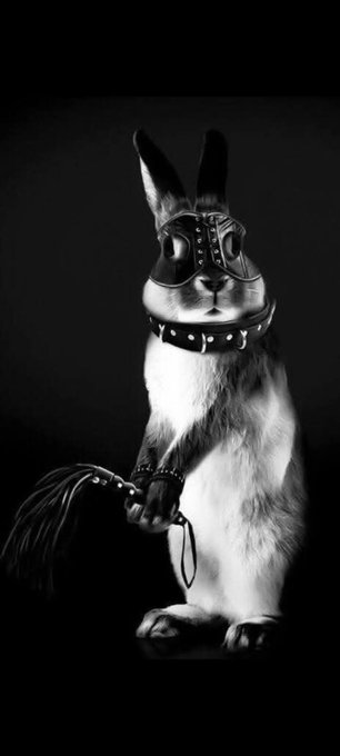 Watch Diabólica 🖤's leaked NSFW photo on TwXstars