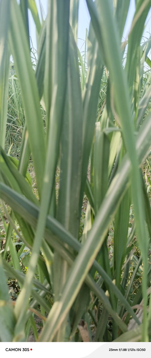 Happy morning dear friend 

Good morning! Remember: A bad day doesn’t mean a bad life."