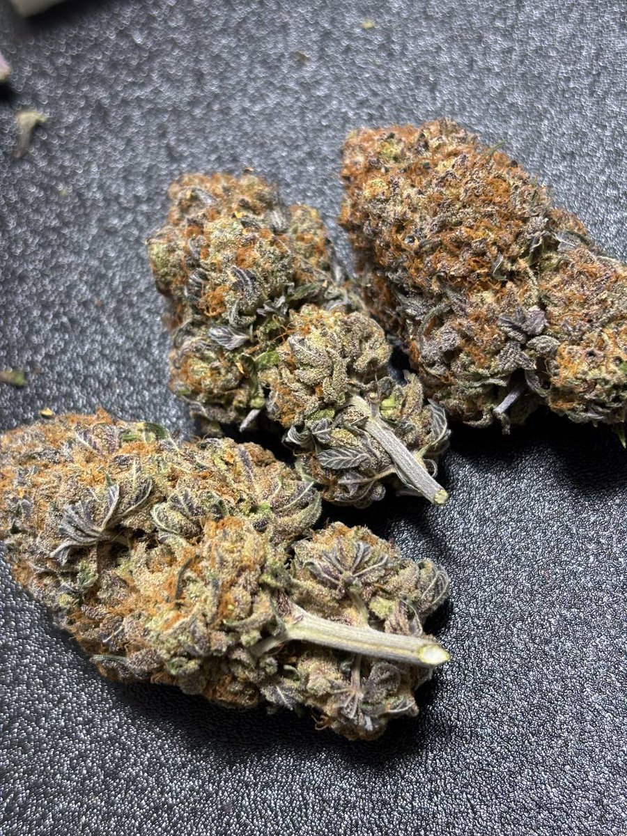 Purple Punch
