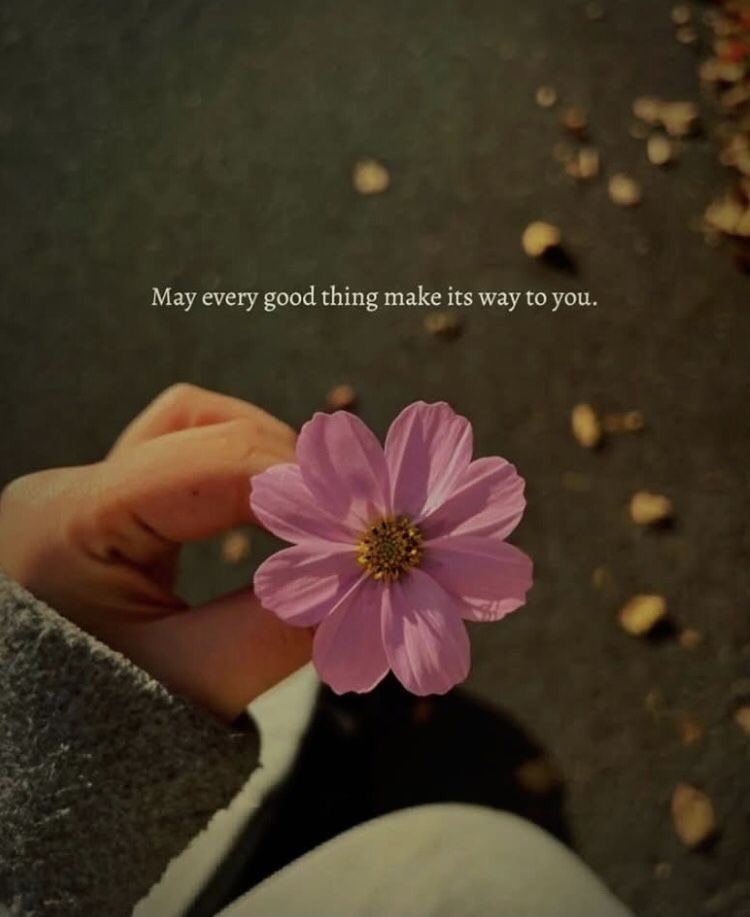 Albertina Stefan (@albertinastef99) on Twitter photo 