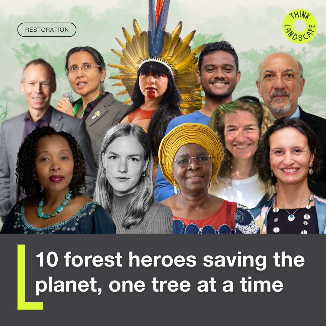 TheLandAlliance's tweet photo. From Indigenous leaders and local stewards to scientists, AI data analysts and policymakers, meet 10 forest heroes fighting to preserve these essential and irreplaceable ecosystems.

Catch some of them at #GLFForests: ➡️ https://t.co/03hd049Otl

#ForestsMatter https://t.co/IdoT3qtecs