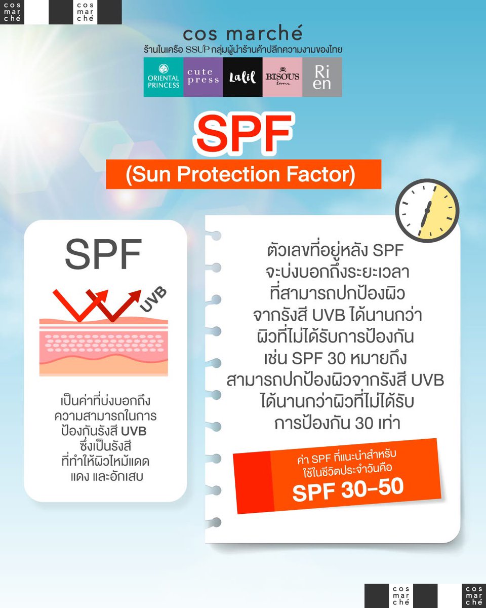 cosmarche's tweet photo. SPF และ PA ต่างกันยังไง? 👀

เลือกกันแดดทั้งทีก็ต้องเลือกที่ดีที่สุด!
แต่ถ้าไม่มั่นใจ ก็มาปรึกษาพนักงานขายที่ #cosmarché ได้นะ
เพราะเราเป็นร้านรวมเครือ SSUP #รวมเครื่องสำอางแบรนด์ไทย จะกันแดดแบบไหนก็มีครบ 🌞✨

📍เช็คพิกัดความสวยใกล้บ้านเลย! https://t.co/7GSOe4kMdY https://t.co/25XT3CMksZ