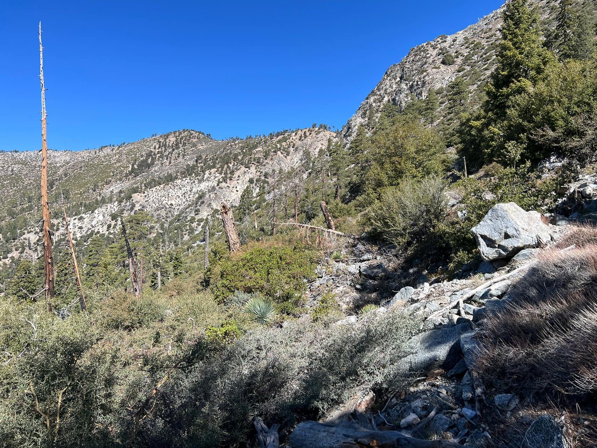 ⛰️San Gabriel Mountains Trailbuilders ⛰️ tweet media