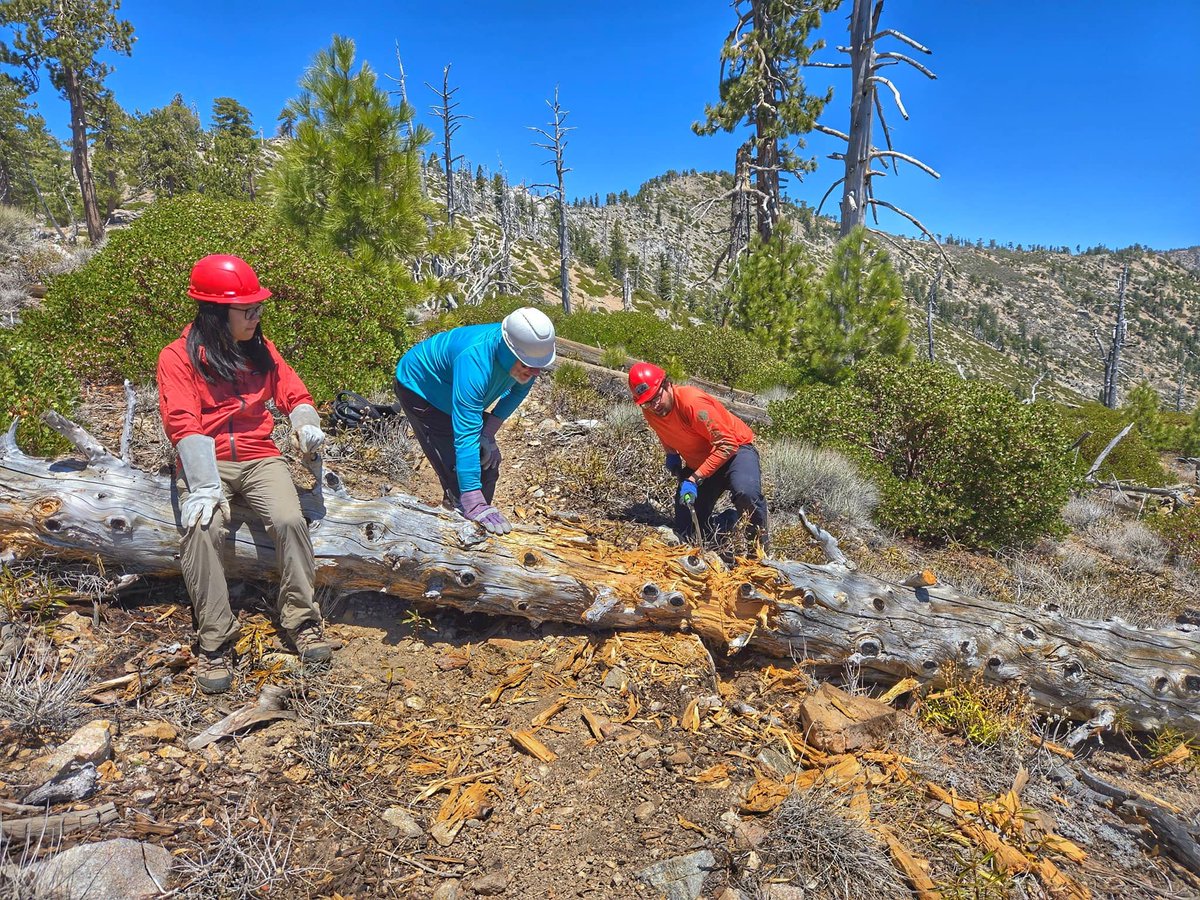 ⛰️San Gabriel Mountains Trailbuilders ⛰️ tweet media