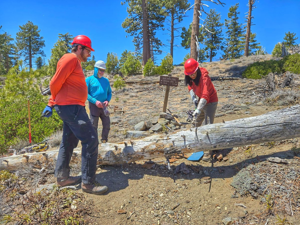 ⛰️San Gabriel Mountains Trailbuilders ⛰️ tweet media