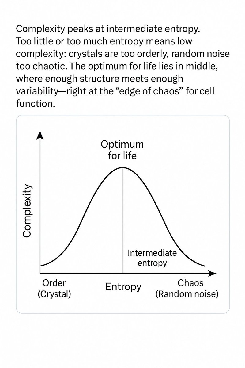 CankayKoryak's tweet image. Complexity ∝ Information Density
Complexity ∝ Entropy (up to a point)
But maximal complexity is not at maximal entropy — it's where information is structured yet diverse.