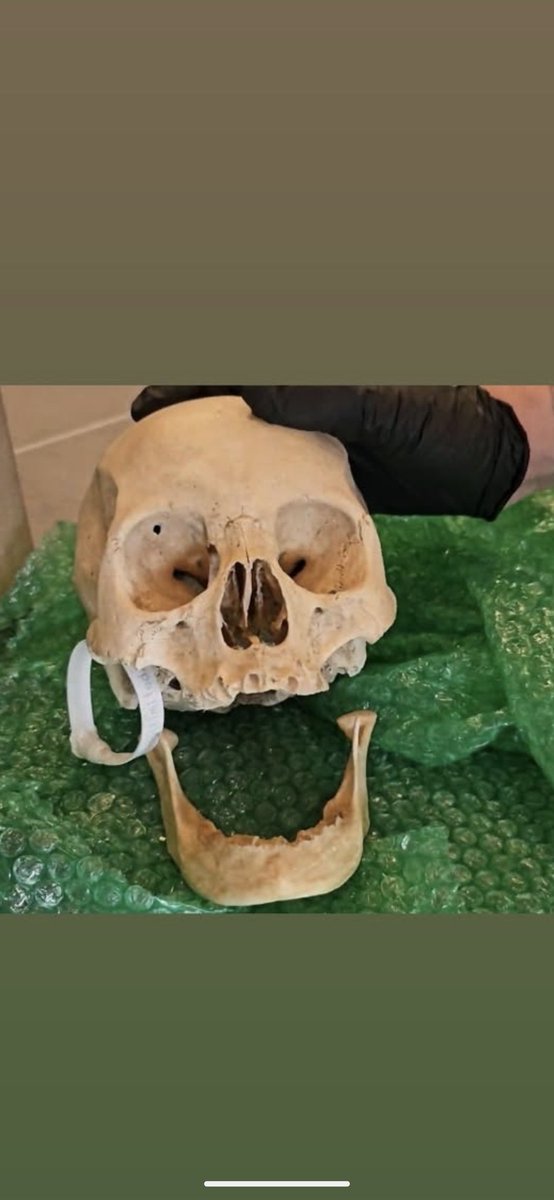 ᴍʀ. ɢᴏᴏꜰꜱ ᴀ. ɢᴀꜰꜰᴇꜱ ☭ 🇵🇸 tweet media