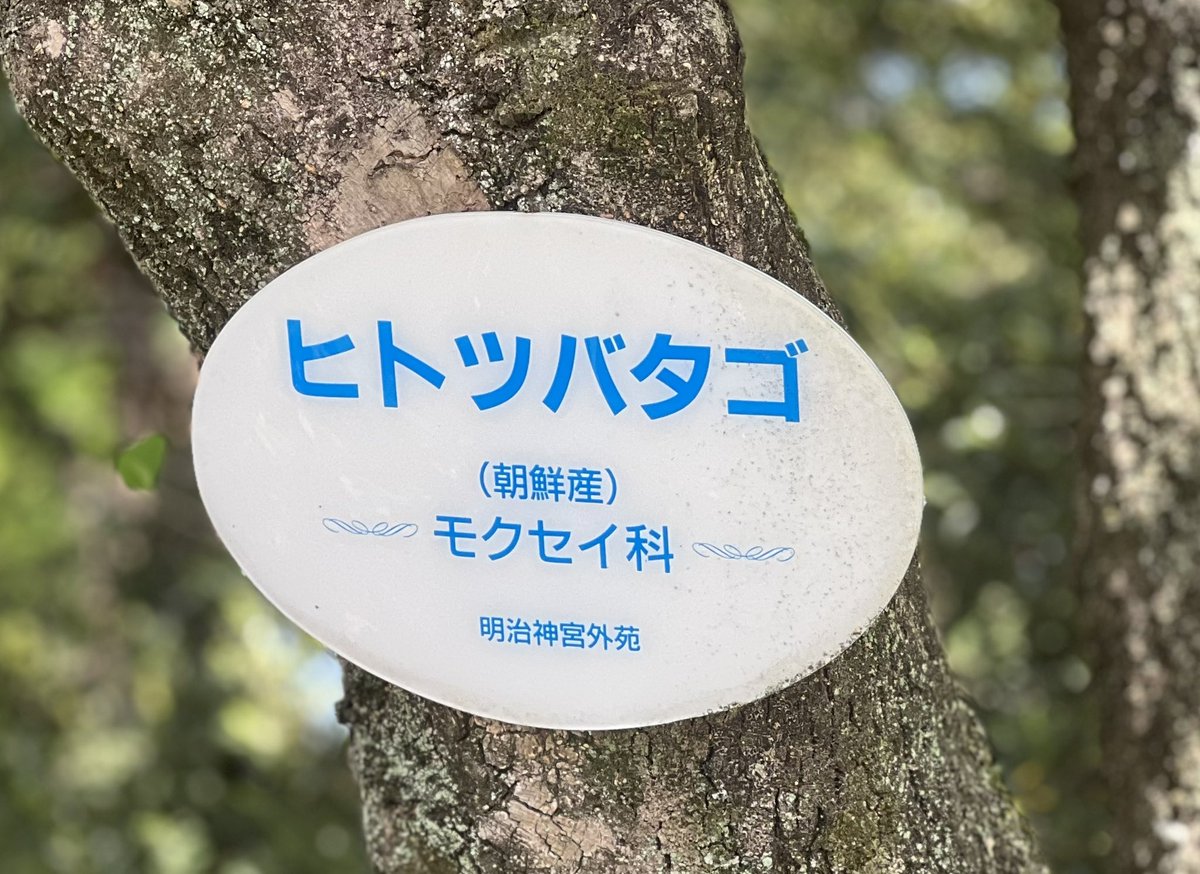 つば、ツバ、Tsuba……
センサーに引っかかっちゃうんだよね。笑