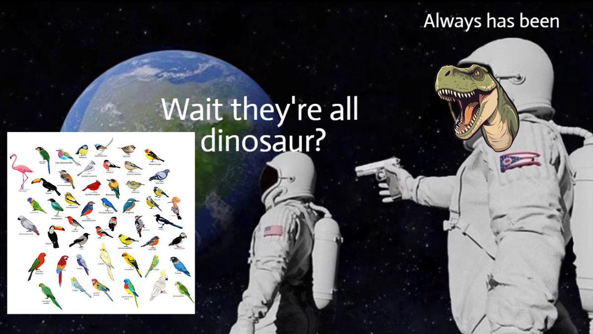 TheLuqmanRazak's tweet photo. Tak pernah tak mindblown sejak tahu: Burung bukan sekadar datang dari dinosaur.

Burung adalah dinosaur. 🐓🦆🦃🦖

Tapi ramai tak dapat hadam betapa dinosaurnya burung ni. 

Nak tahu tak, burung pipit tu lebih rapat dengan T-Rex berbanding T-Rex dengan Stegosaurus? 😱🦢🦜🦩

Ini thread untuk peminat burung & dinosaur 🧵👇