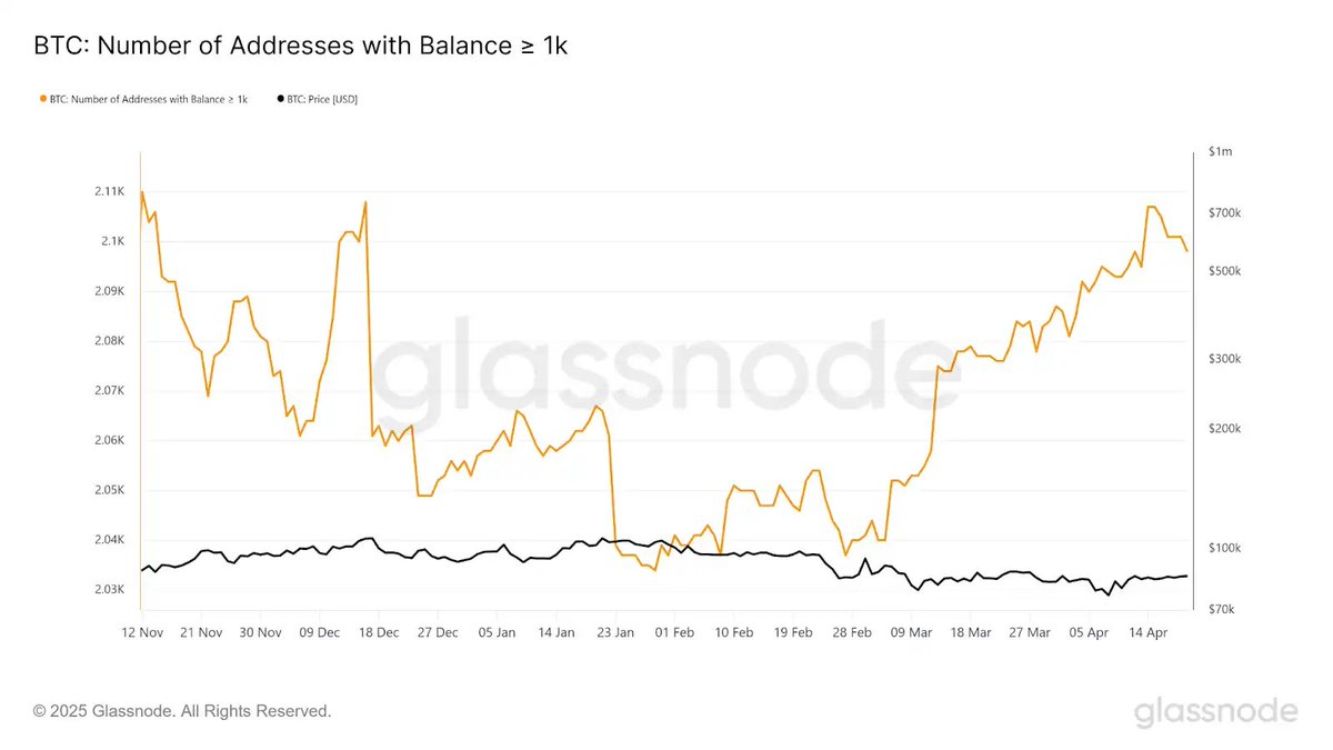 比特币巨鲸4 月持续增持，持仓超千枚地址上升链上数据显示，尽管3 至4 月比特币价格下跌，持有超1000 枚BTC 的地址数量仍创近四个月 新高。据Glassnode