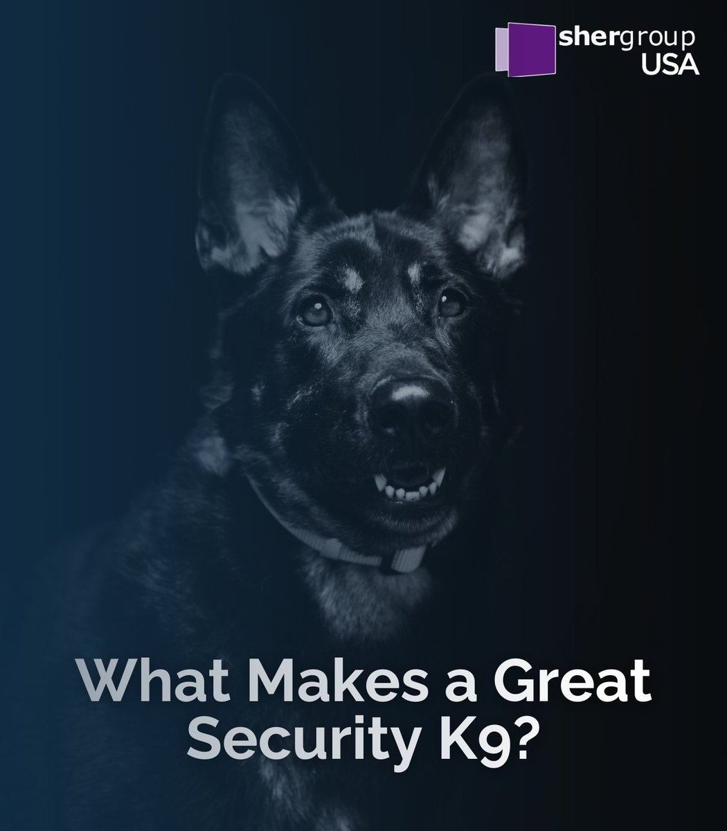 🐾 Why are K9s still the gold standard in security? Their instincts + powerful noses = unmatched threat detection. From schools to stadiums, they keep Florida safe. Learn more 👇
🔗 shergroupusa.com/contact-us/

#K9Security #ShergroupUSA #SmartSecurity