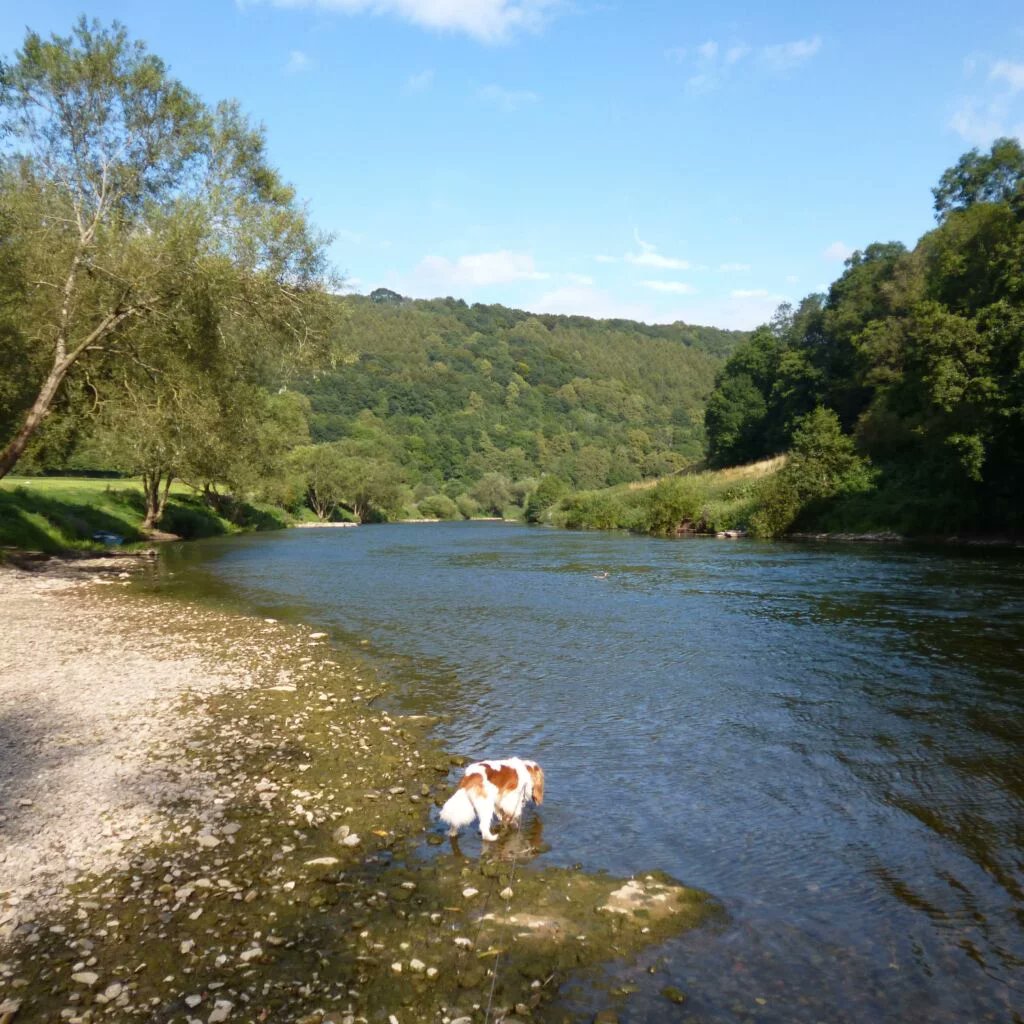 RJonTourUK tweet media