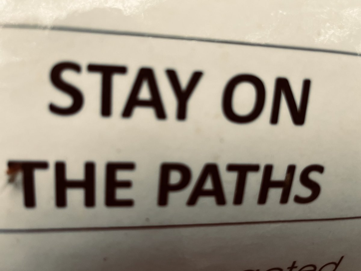 Liam Gallagher tweet media