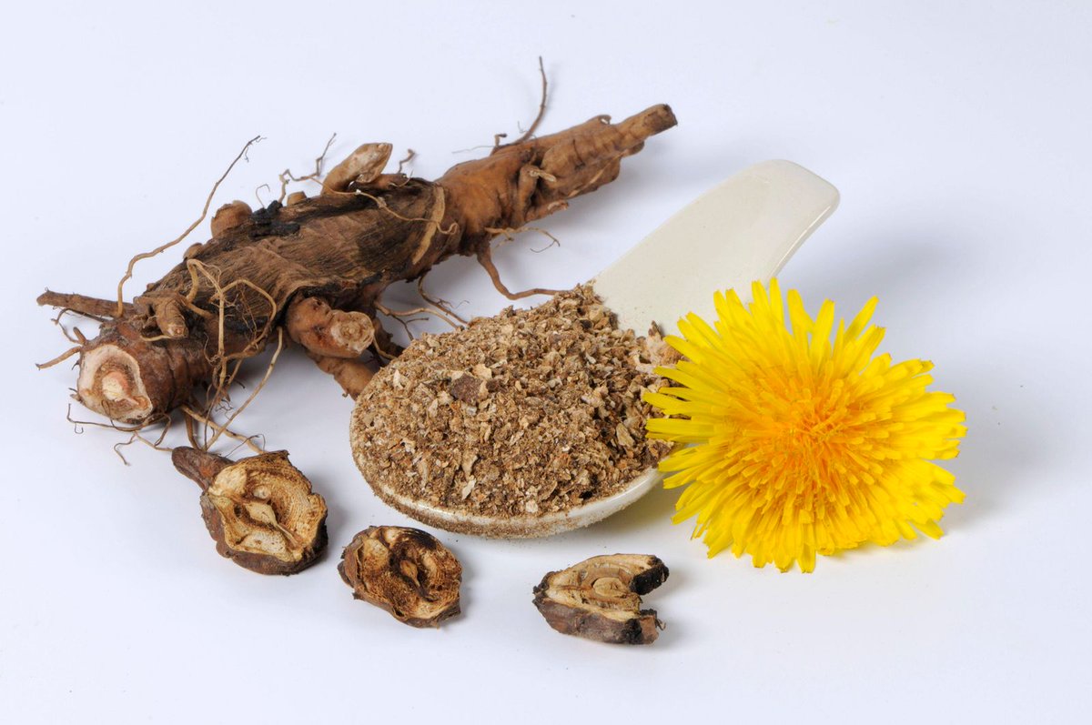 ZentrumGesund's tweet image. Löwenzahnwurzel - Wirkung, Zubereitung und Anwendung

Das robuste Kraut Löwenzahn birgt erstaunliche Heilkräfte in seiner Wurzel. Erfahren Sie mehr über ihre vielseitigen Anwendungen und Vorteile. Artikel lesen: zentrum-der-gesundheit.de/ernaehrung/nah…

Die Löwenzahnwurzel, traditionell in der…