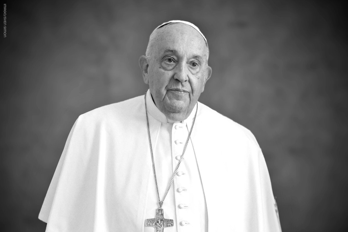 Alice Weidel tweet media