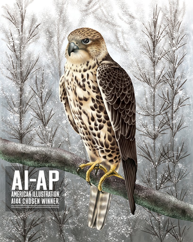 Shirfine's tweet photo. Best news on Easter from @AmericanIllust! My illustration “Gyrfalcon” has been chosen for American Illustration 44!🦉Many thanks to the jury for this honor.

Living in LA for years, and the NY spirit still remains in me. Looking forward to the celebration. See you again, NYC! 🥂 https://t.co/JNevqeORfQ