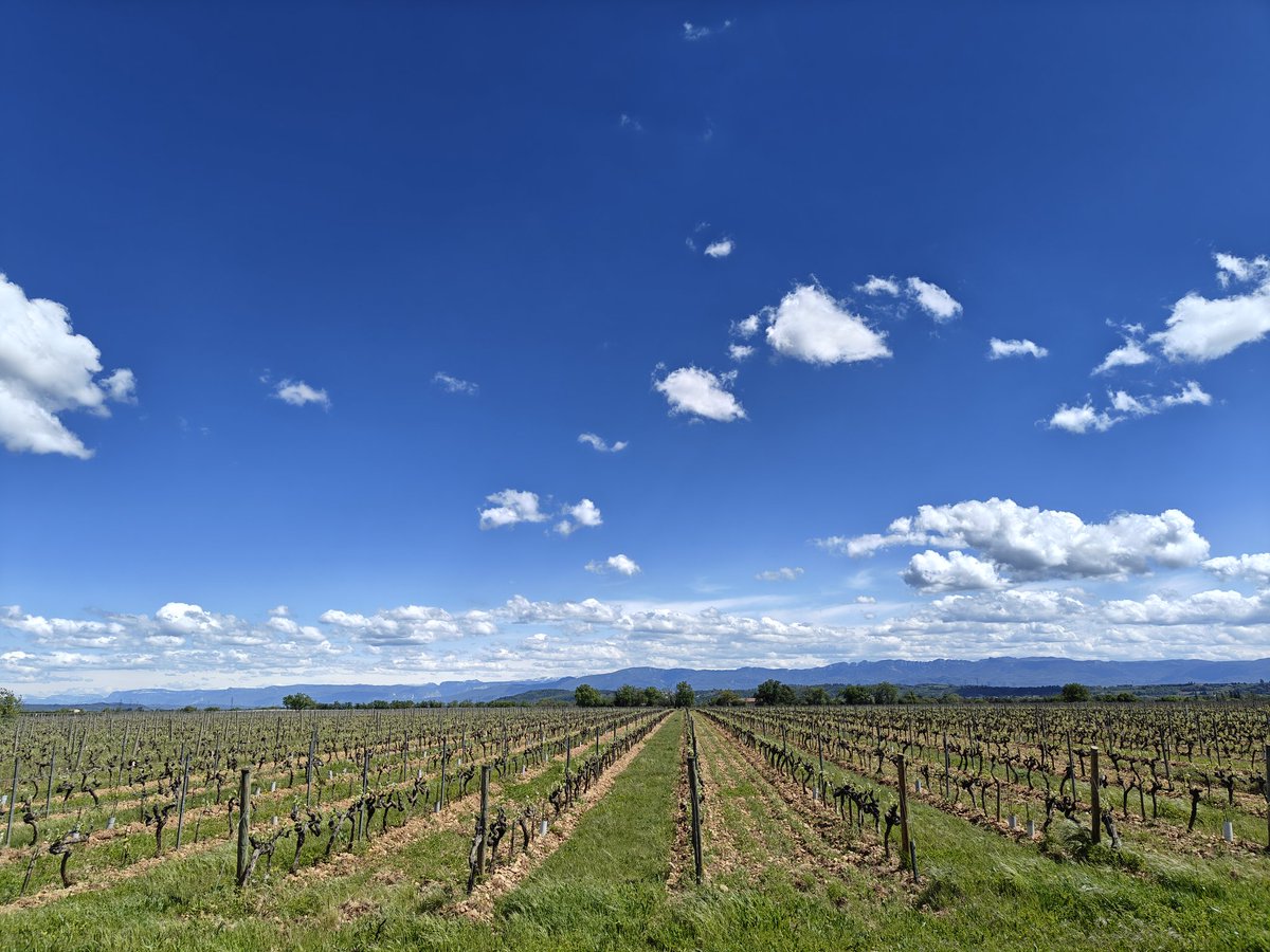 frsithco's tweet image. Happy Easter x