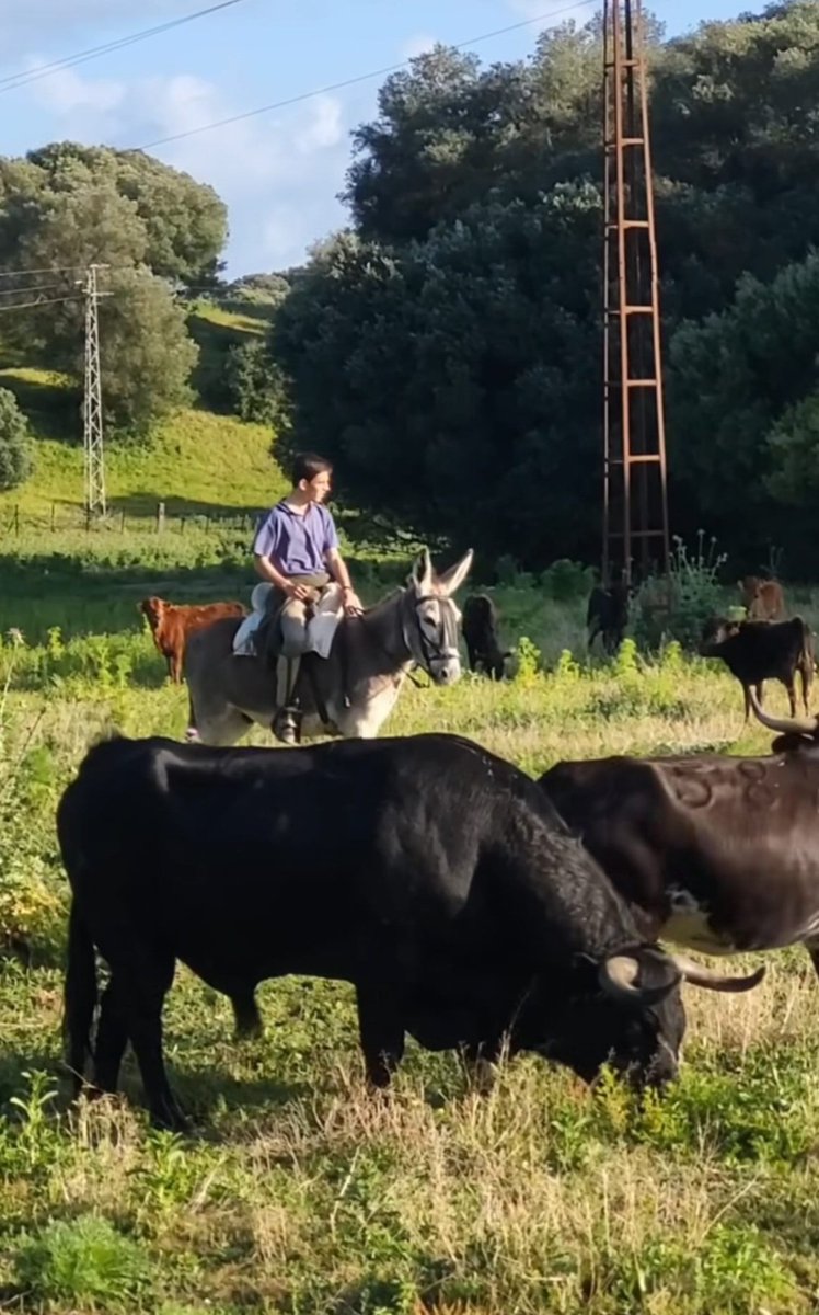 Imagenes de otro siglo...