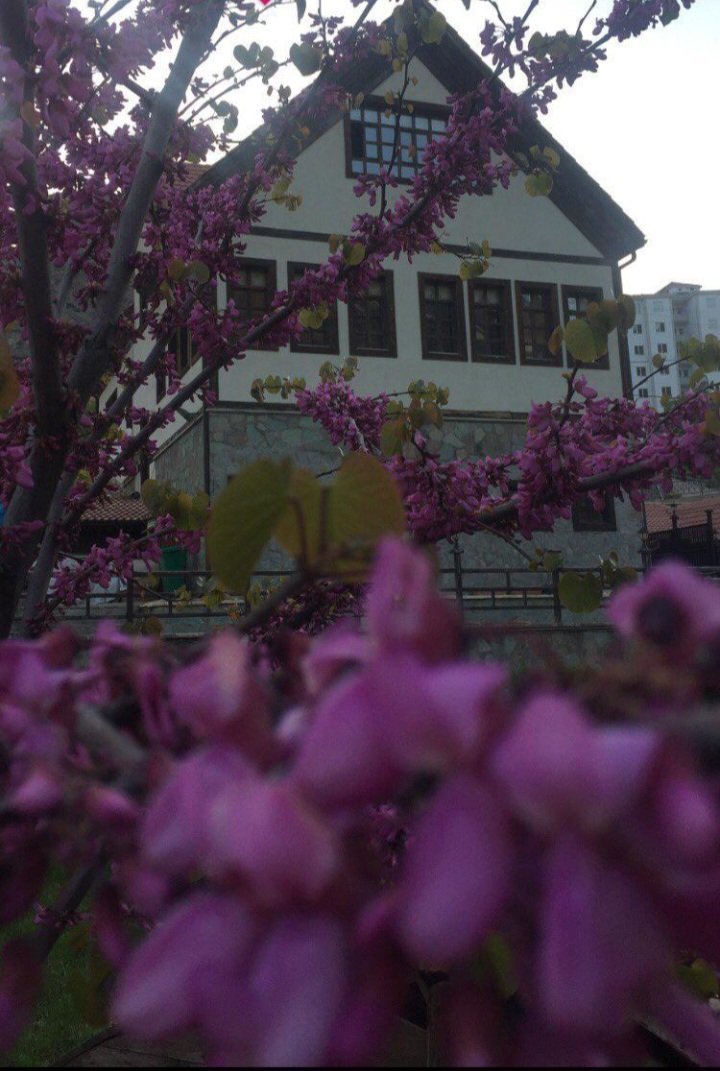 AhmetErgin29's tweet photo. Gününüz bereketli olsun 🤲🏻
Neşeli ve mutlu haftalar 🦋🌺☕️🍃🕊

#Karadeniz
#Gümüşhane
#BalyemezKonağı
#CafeRestaurant https://t.co/oymN9sYDdE