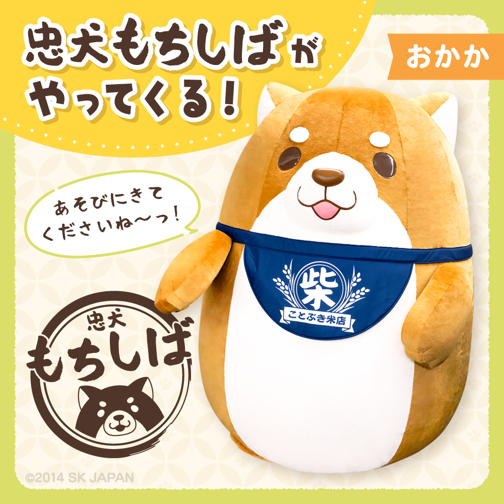 忠犬もちしば【公式】 on X: 忠犬もちしば【公式】 on X: