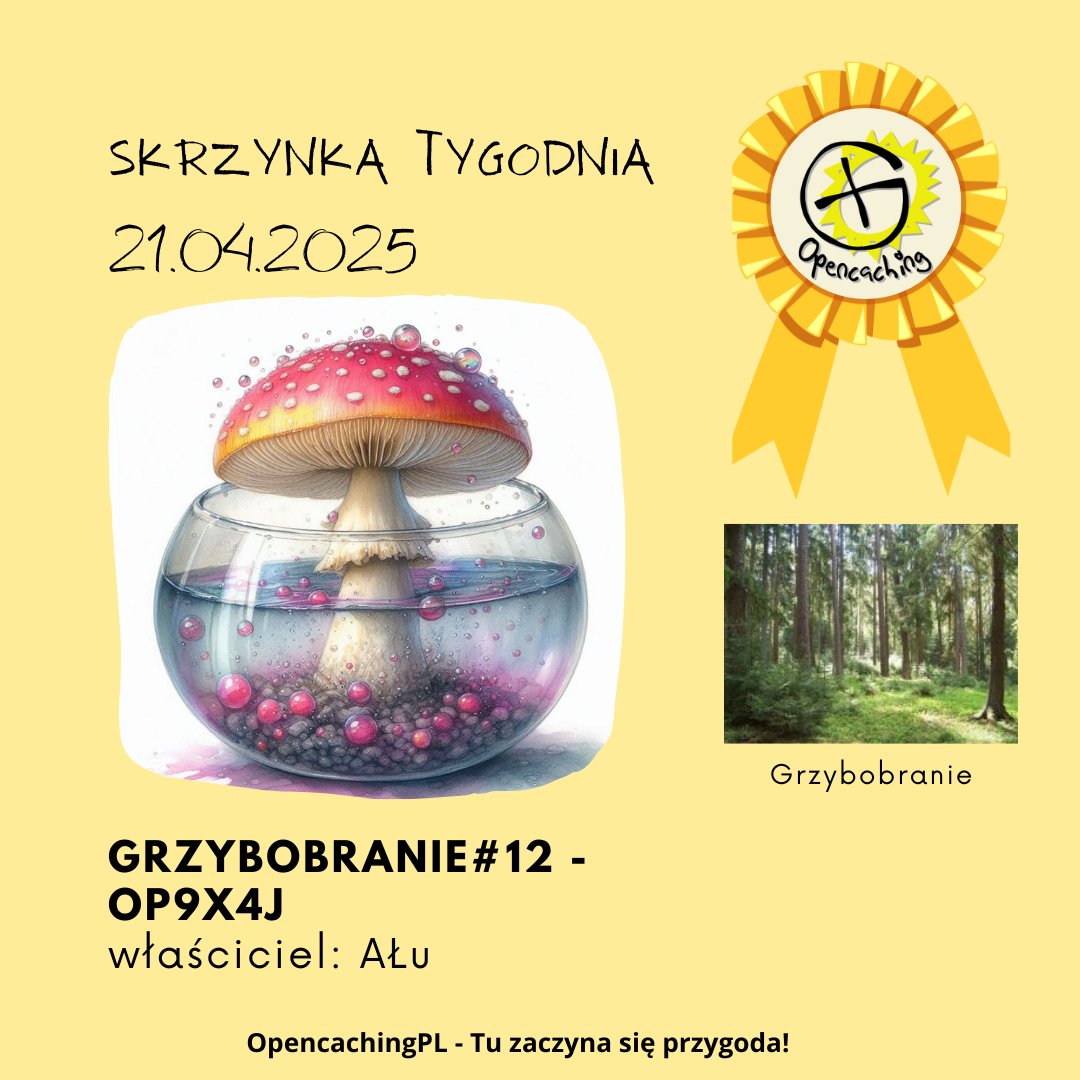 Opencaching1's tweet image. Nowy tydzień! A z nami nowy kesz tygodnia!
Gratulacje dla AŁu!
Tym razem wyróżniony został kesz : Grzybobranie#12 - OP9X4J
(opencaching.pl/viewcache.php?…)
#opencaching #geocaching #grzybobranie #technikalia #woda #spacer #podkarpackie #tuzaczynasięprzygoda