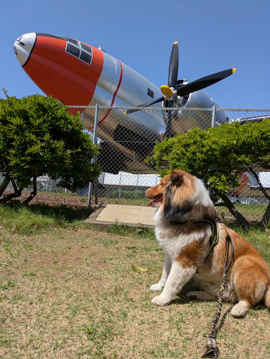 今日はワンコとデートしました。