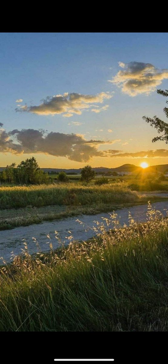 Anna 🧡🇦🇹🌺🌸 tweet media