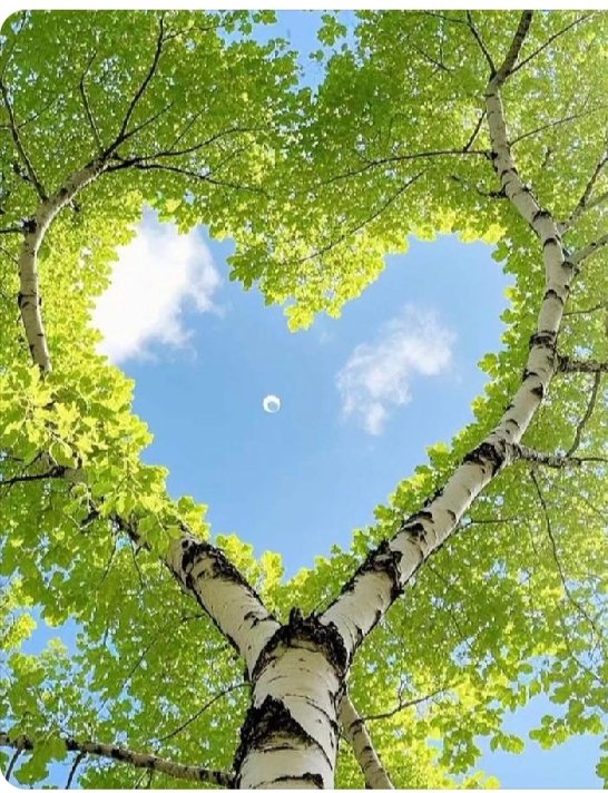 Jairam275934's tweet image. Very good afternoon sabhi ko #CSKvsMI
#NishikantDubey
#PBKSvRCB