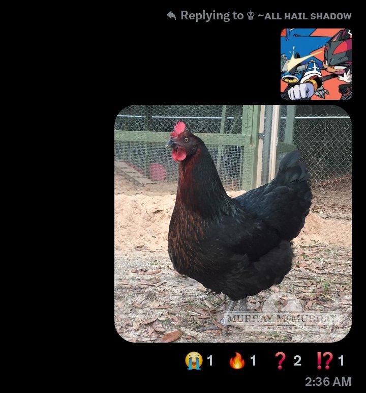 TemperedEchidna's tweet image. #ChaosUnity