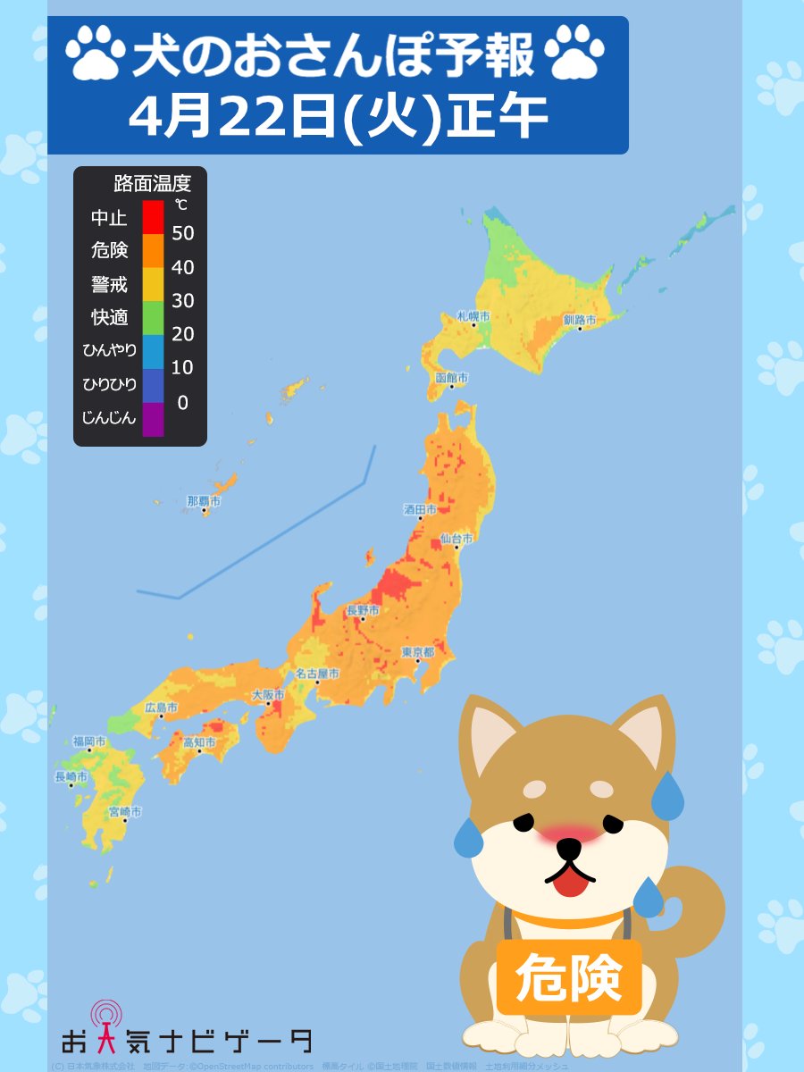 ╭━━━╮
    あすの
╰━ｖ━╯
🌡犬のおさんぽ予報です🐶

明日は広い範囲でオレンジ色の
#おさんぽ危険 エリアとなりそうです⚠️
特に本州の内陸部では
赤色の #おさんぽ中止 エリアもあるため
十分にご注意ください🚨
お出かけ前に #路面温度 を確認し
#愛犬 の #肉球 を守りましょう🐾