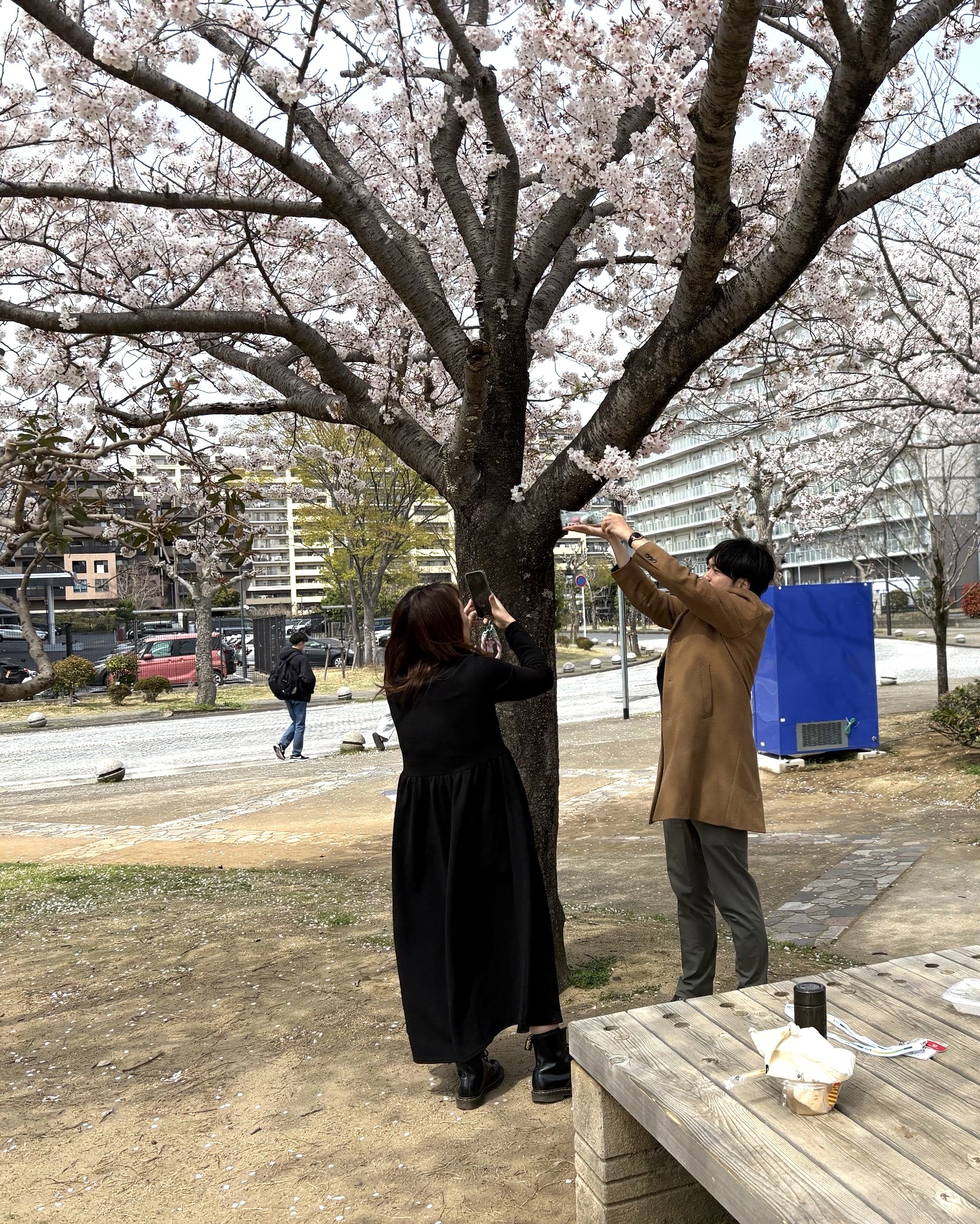SPRING JAPAN（スプリング・ジャパン） on X: 