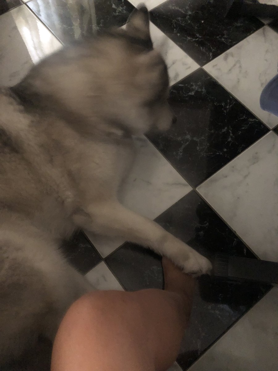 JennifaBarbie's tweet photo. I’m in love 🥰 https://t.co/HnU1aIarWx