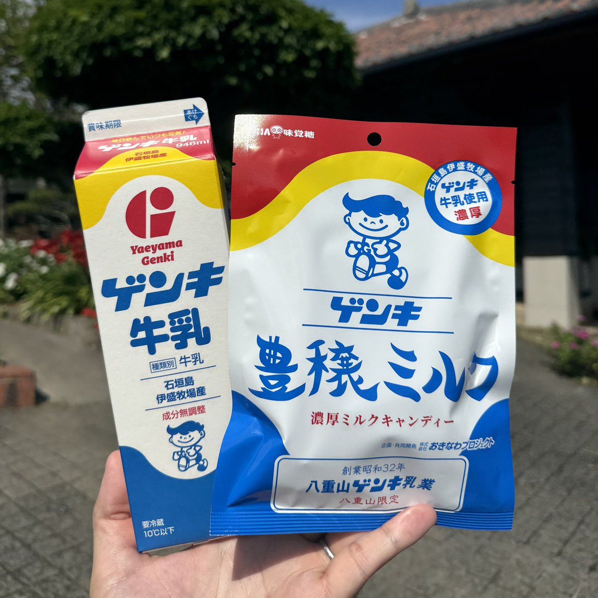 🎊 新商品発売 📣】 #石垣島 の #伊盛牧場 産生乳100%の #ゲンキ牛乳